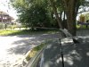 Polska antena w Japońskim aucie
