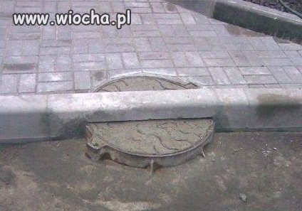Norek ma przesrane,jak zejdzie do kanału?