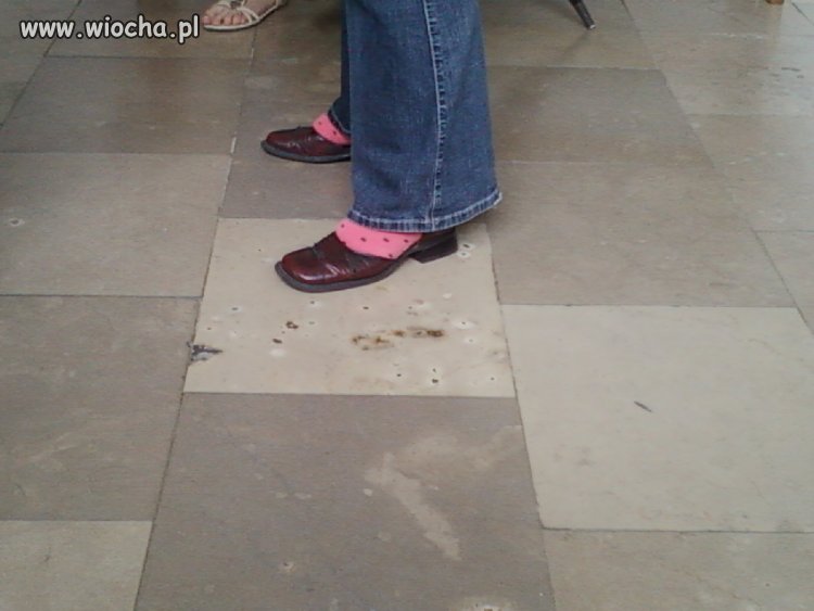 Uniwersytecka moda 2012...