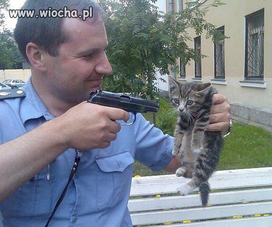 Jak widzę, debilizm nie ma swoich granic.