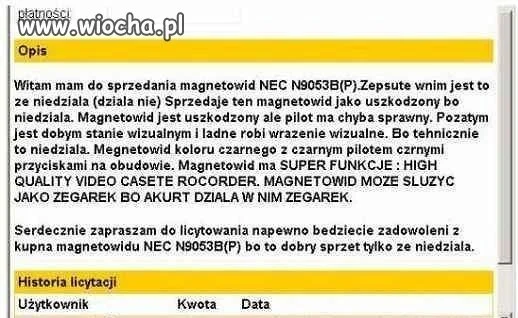 Magnetowid