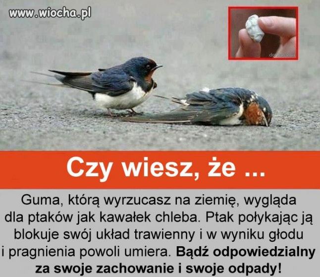 Nie nazywam tego...