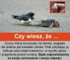 Nie nazywam tego...
