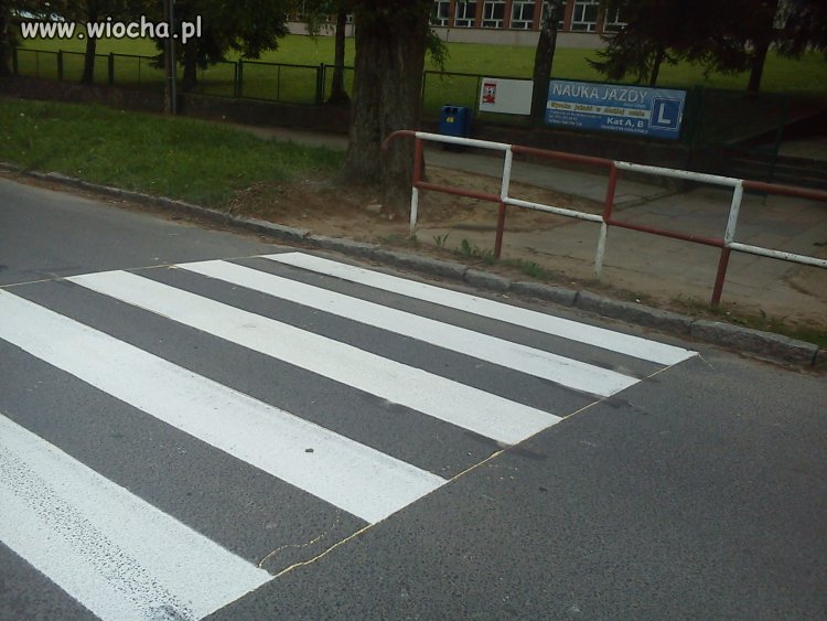 Takie rzeczy tylko w Polsce