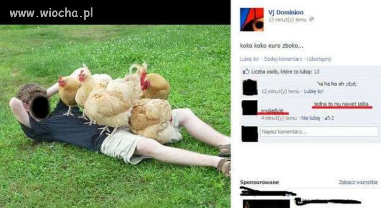 Z seri Koko Euro -Zboko...