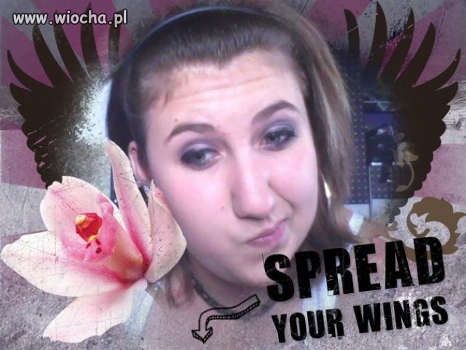 Wiocha ?