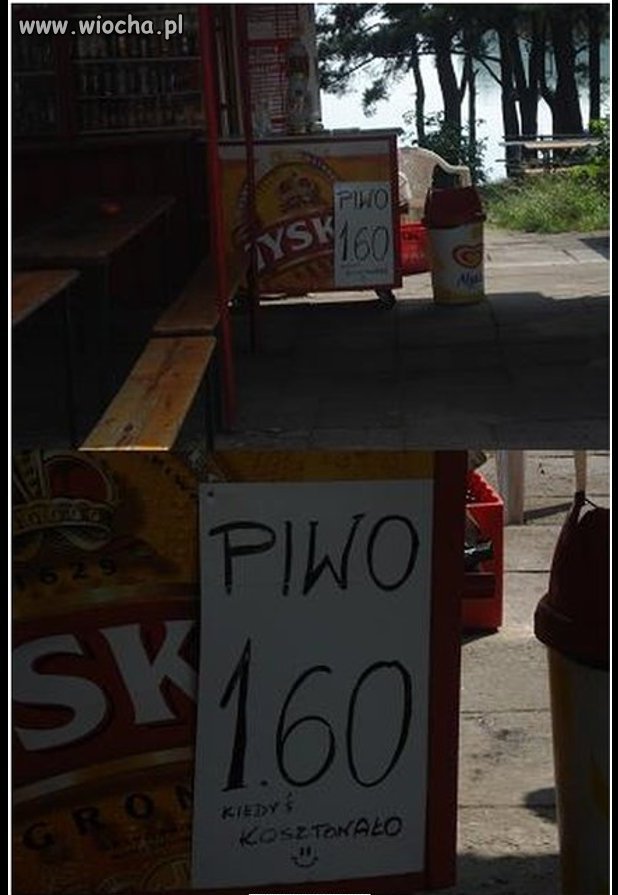 Ironia Losu