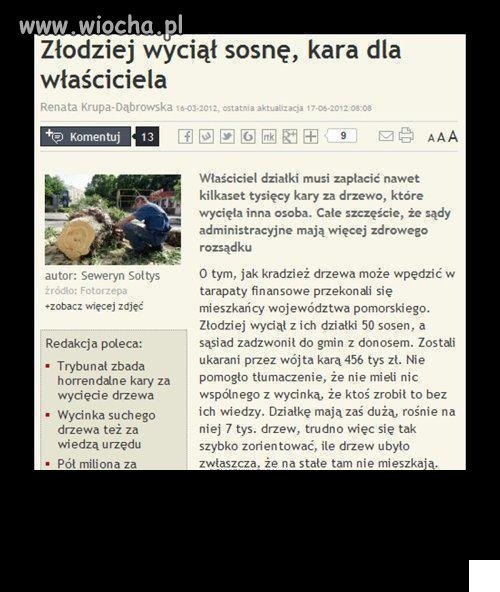 Dobry 