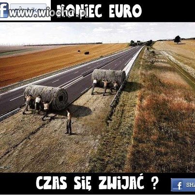 Hahahaha