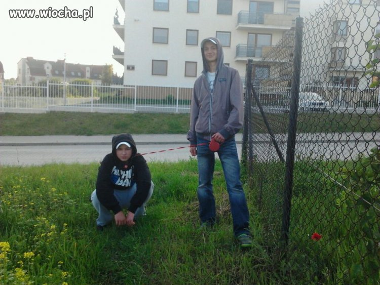 Pozycja na pieska