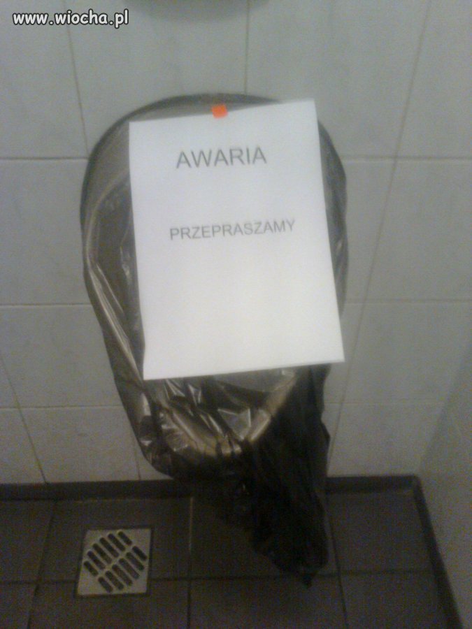 This is Polska 