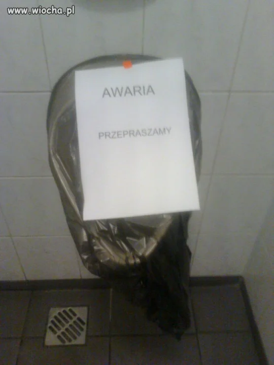 This is Polska 