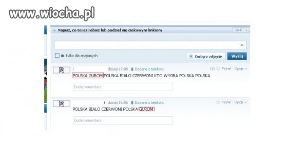 Niezawodni kibice 