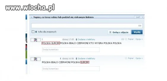 Niezawodni kibice 