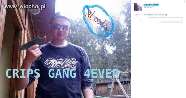 Gangster Crips