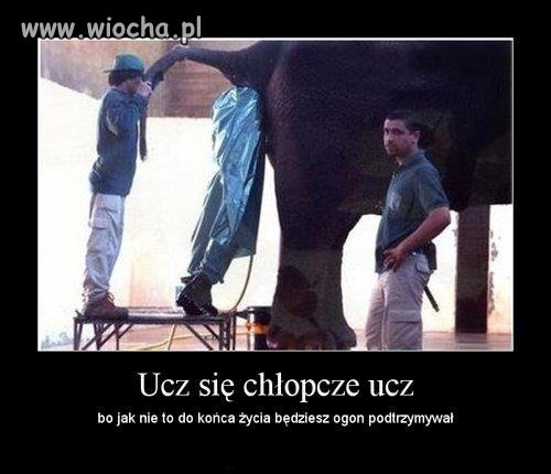 Dobrze ,ze się nie zgubił