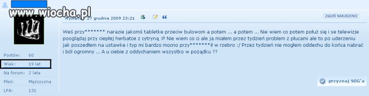 Polski Fighter w Internecie