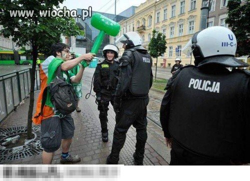 Nawet oni się dobrze bawią 