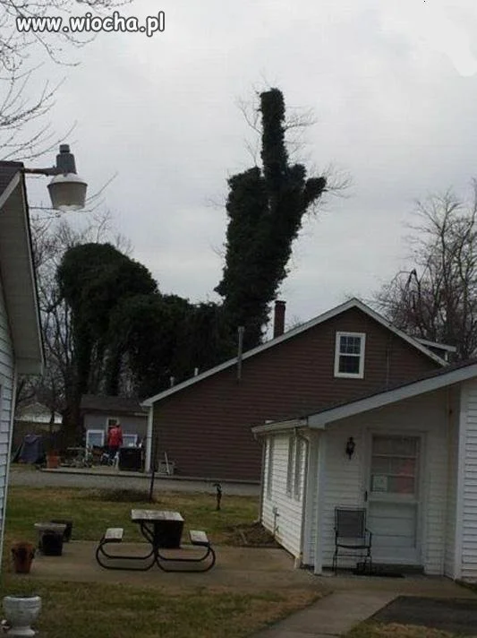 Fuck you