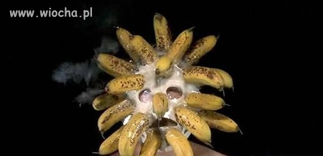 Mr.Banan