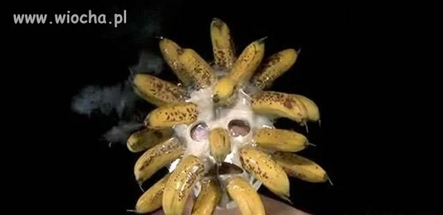 Mr.Banan