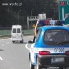Żeby kogut... nie odleciał???