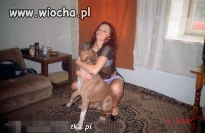 Biedny piesek 