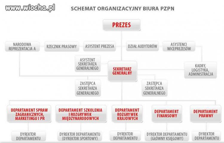 Banda świń przyspawana do koryta...