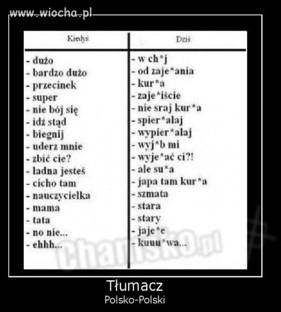 Tłumacz