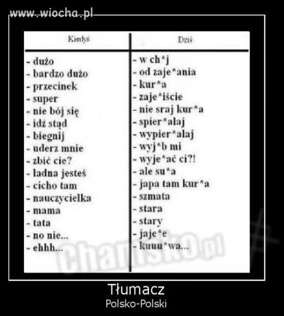 Tłumacz
