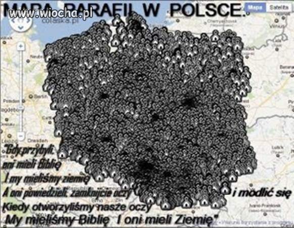 Czarna pajęczynka