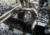 Indie.Kraj wielu absurdów.