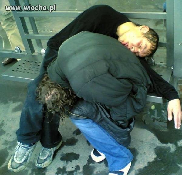 Dzisiejsze atrakcje na przystanku ..