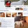  Białystok KAT DLA PSÓWWW