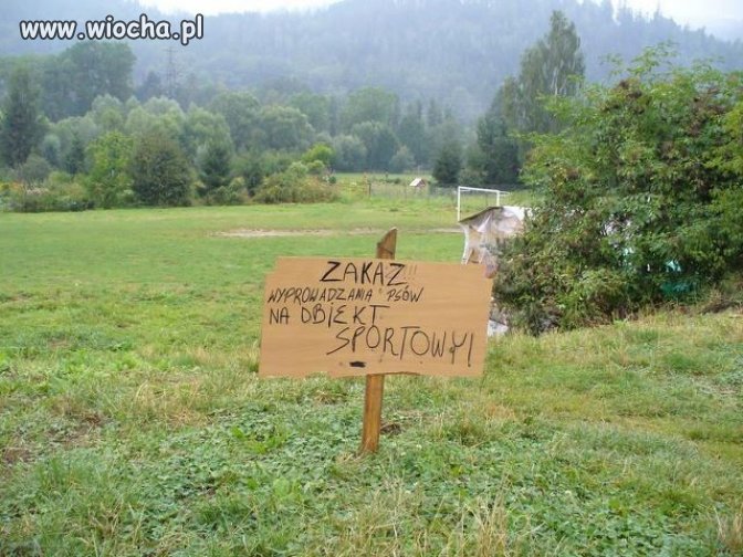 Pokazowy Orlik