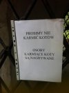 Głodówka dla kotów