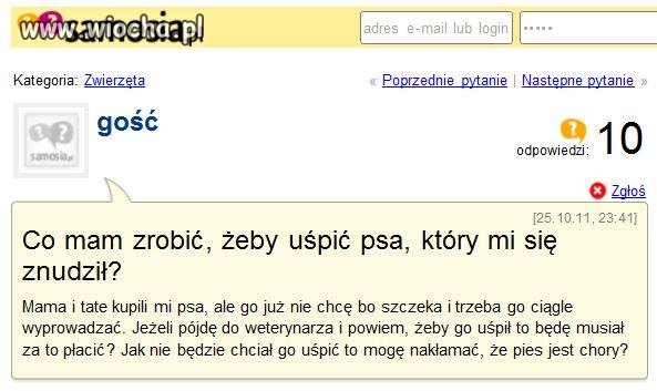 Uśpić psa bo się znudził