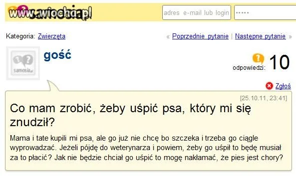 Uśpić psa bo się znudził