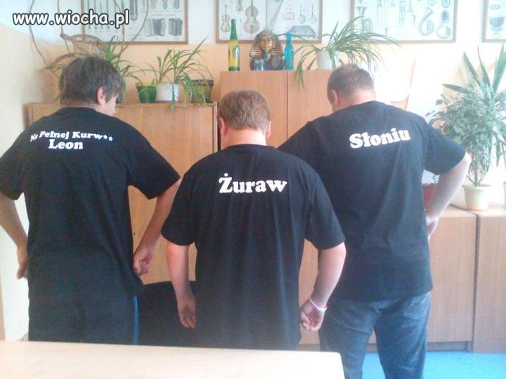Szkolne Koxy ... 