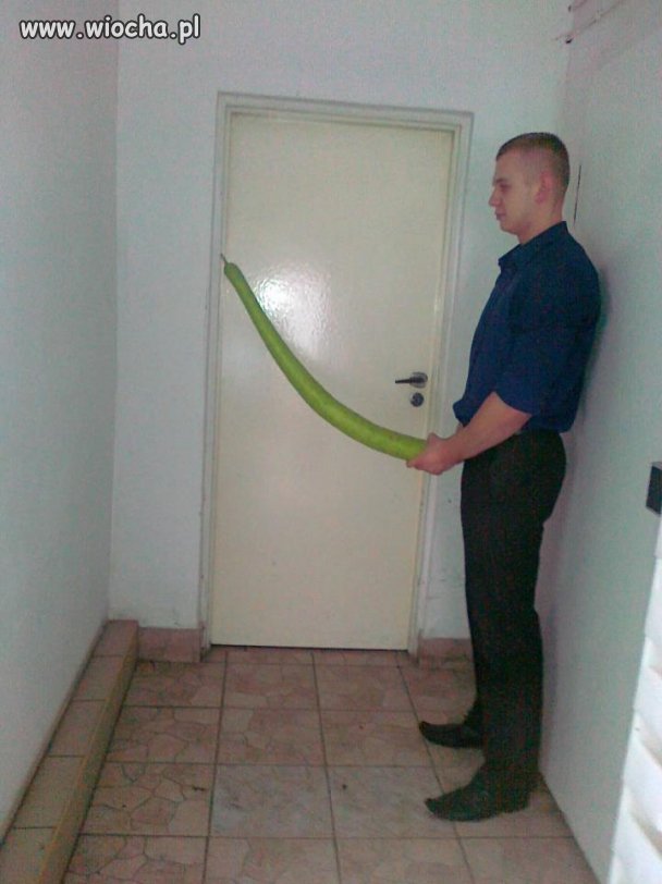 To tylko pozostaje,