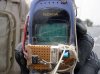Niezniszczalny telefon