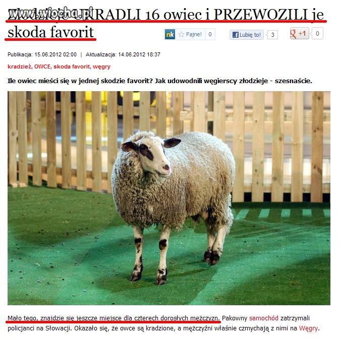 Bo jak kraść to 16 owiec...