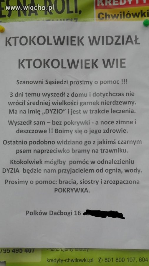 Ktokolwiek widział, ktokolwiek wie