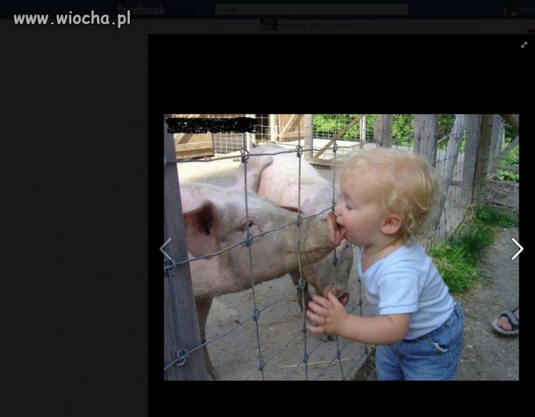 Sweet focia od dziadków ze wsi.