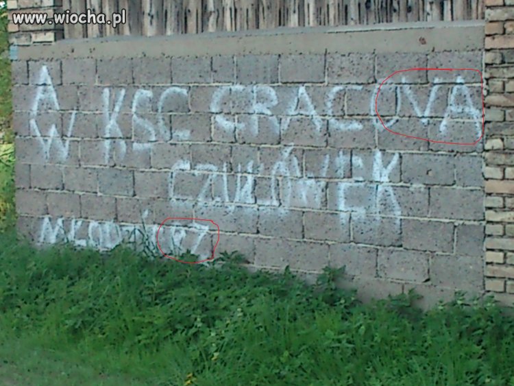 Cracova