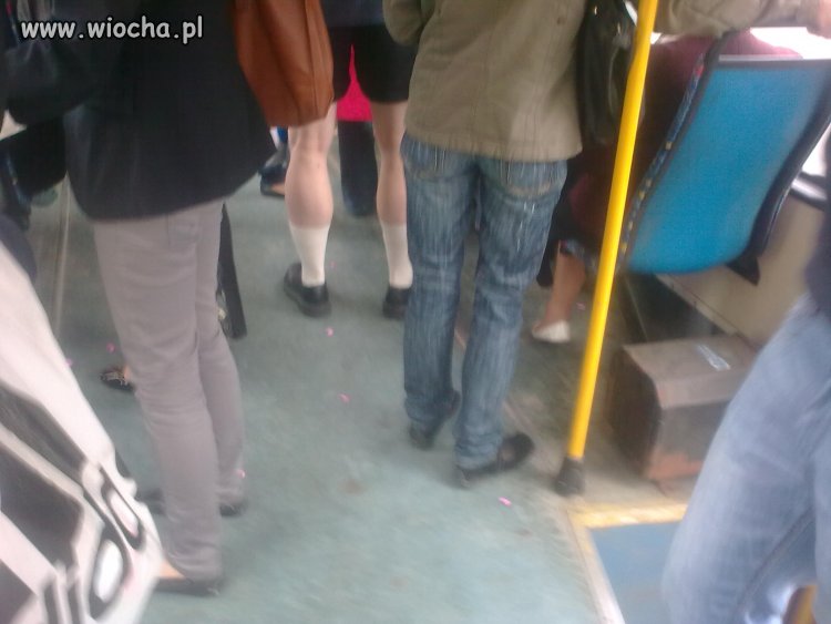 Tak się teraz nosi skarpety