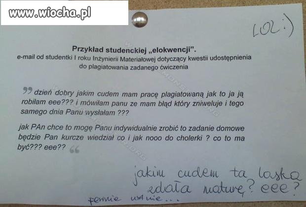 Jakim trzeba być pustakiem