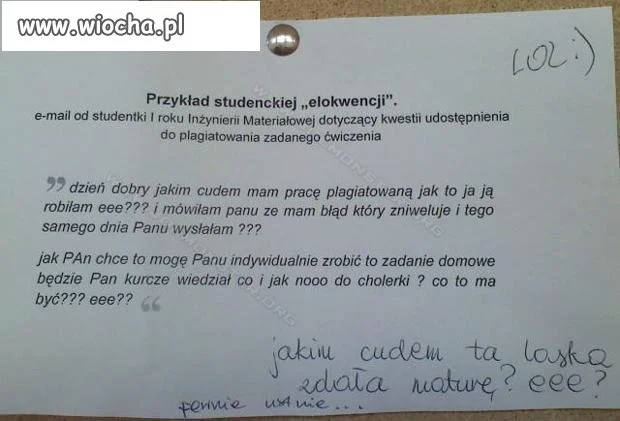 Jakim trzeba być pustakiem