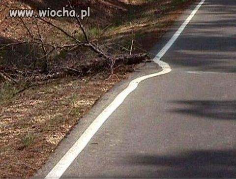 Takie coś tylko u nas w Polsce.