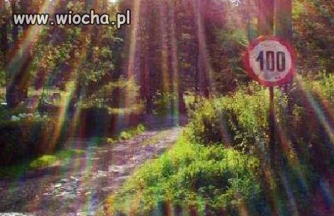 Nie ma to jak